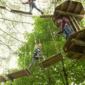 Bild von Go Ape Haldon