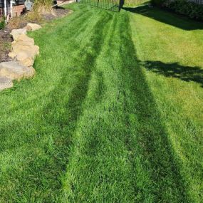 Thick, Green Lawn in Concord, NC.