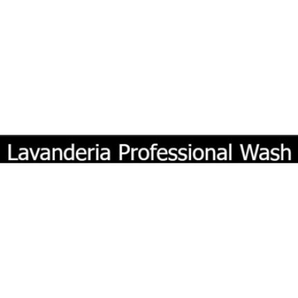 Logo da Professional Wash