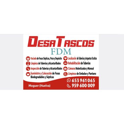 Logo from Destascos Fdm
