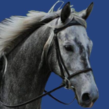 Logótipo de Harmony Horse Stables LLC