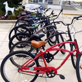 Bild von D R Bradley's Bike Rentals