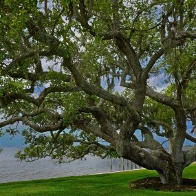 Bild von Charlotte Harbor Yacht Club