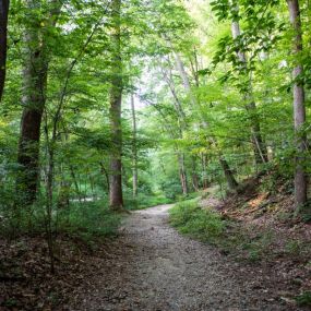 Surrounded by multiple beautiful parks and nature trails, both Saline and Ann Arbor offer endless recreational opportunities