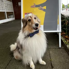 Bild von HUK-COBURG Versicherung Stephanie Schröder in Hamburg - Bramfeld