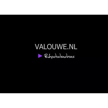 Logo da Rhododendroncentrum De Valouwe