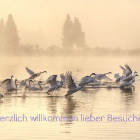 Bild von Darshan Haus | Meditation München