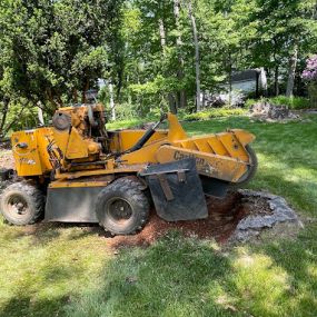 Bild von Economy Stump Grinding & Removal