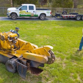 Bild von Economy Stump Grinding & Removal