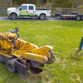 Bild von Economy Stump Grinding & Removal