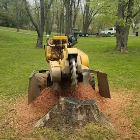 Bild von Economy Stump Grinding & Removal