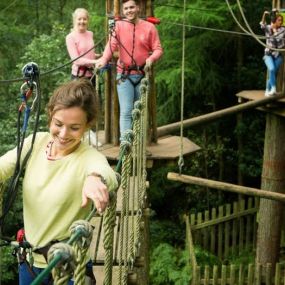 Bild von Go Ape Cannock