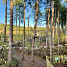 Bild von Go Ape Cannock