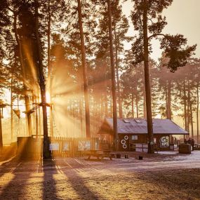 Bild von Go Ape Cannock