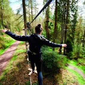 Bild von Go Ape Cannock