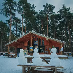 Bild von Go Ape Cannock