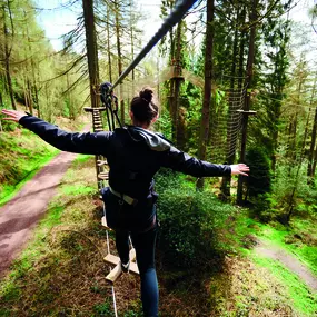 Bild von Go Ape Cannock