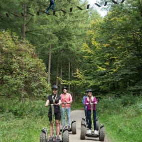 Bild von Go Ape Mallards Pike, Forest of Dean