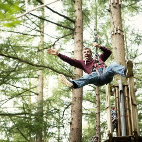 Bild von Go Ape Mallards Pike, Forest of Dean