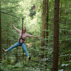 Bild von Go Ape Mallards Pike, Forest of Dean