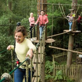 Bild von Go Ape Mallards Pike, Forest of Dean