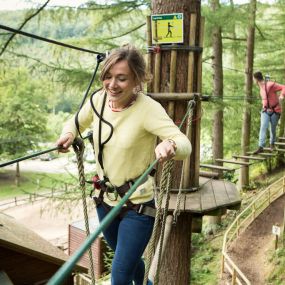 Bild von Go Ape Mallards Pike, Forest of Dean