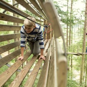 Bild von Go Ape Mallards Pike, Forest of Dean