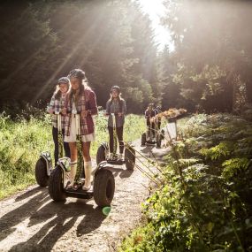 Bild von Go Ape Mallards Pike, Forest of Dean