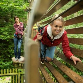 Bild von Go Ape Matfen