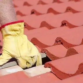 Bild von Dolphin Roofing