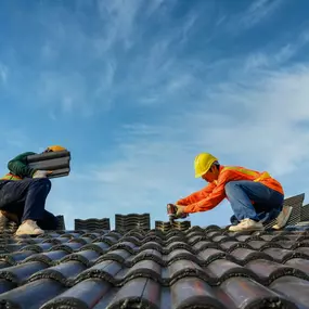Bild von Dolphin Roofing