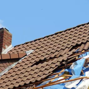Bild von Dolphin Roofing