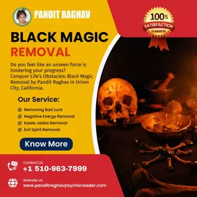 Bild von Pandit Raghav Psychic Reader Indian astrologer