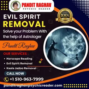 Bild von Pandit Raghav Psychic Reader Indian astrologer