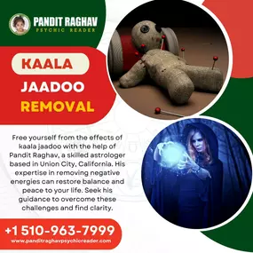 Bild von Pandit Raghav Psychic Reader Indian astrologer