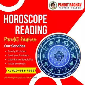 Bild von Pandit Raghav Psychic Reader Indian astrologer