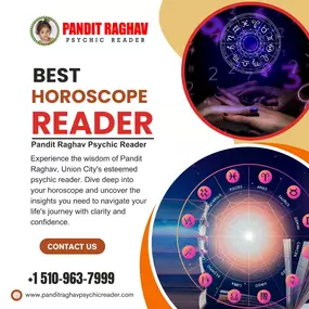 Bild von Pandit Raghav Psychic Reader Indian astrologer