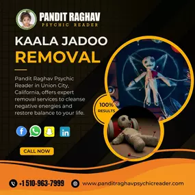 Bild von Pandit Raghav Psychic Reader Indian astrologer