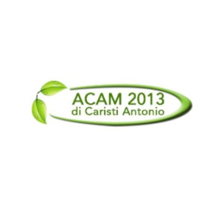 Logo de Acam 2013