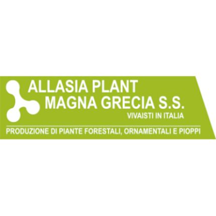 Logo de Allasia Plant Magna Grecia S.S.