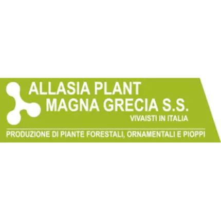 Logo von Allasia Plant Magna Grecia S.S.