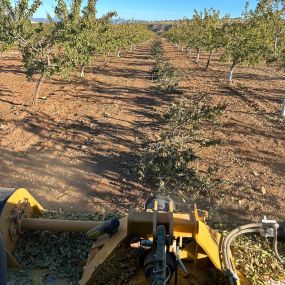 EXCAVACIONES_NIVELACIONES_HDR_Escuzar_Granada_trabajos_agricolas_18.jpeg