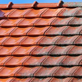 Our team offers roof cleaning services to help revive your roof and increase curb appeal.