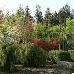 Gartenbau Kerschdorfer GmbH
