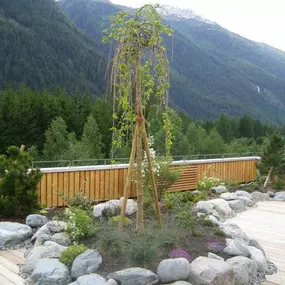 Gartenbau Kerschdorfer GmbH