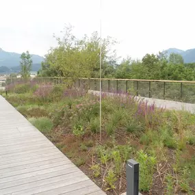 Gartenbau Kerschdorfer GmbH