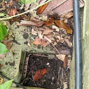 Bild von Gutter Done Right Ltd