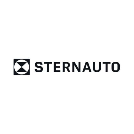 Logo from BYD Service - STERNAUTO