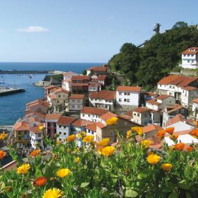 Bild von Opera Cudillero Restaurante