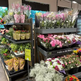 REWE Zuericher Str Muenchen Blumen